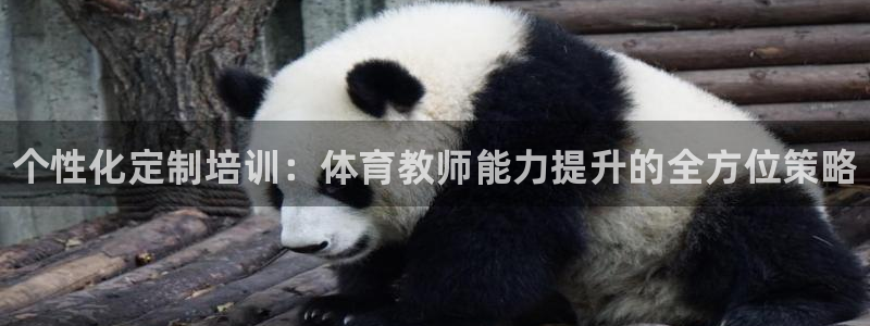 耀世娱乐中国：个性化定制培训：体育教师能力提升的全方位策略